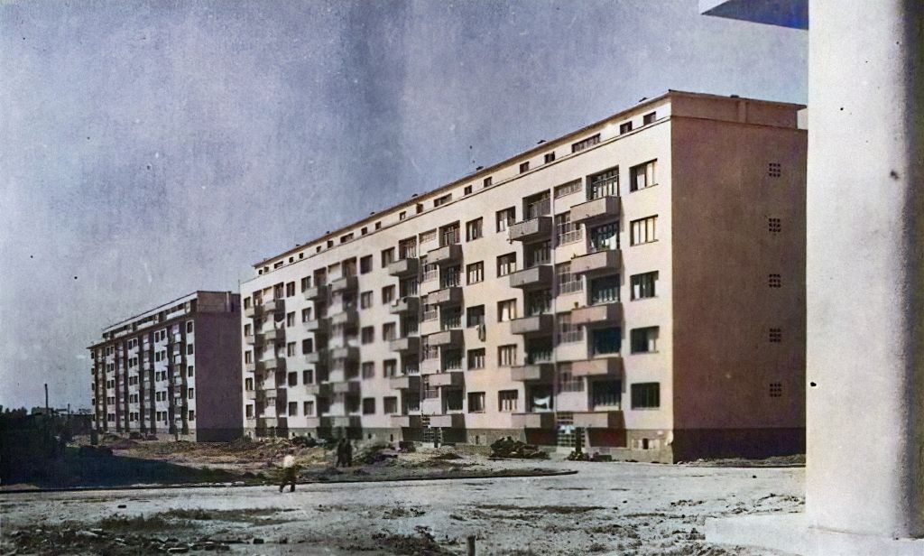 Trnje, poljane 1949. godine